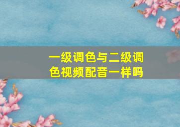 一级调色与二级调色视频配音一样吗