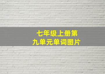 七年级上册第九单元单词图片