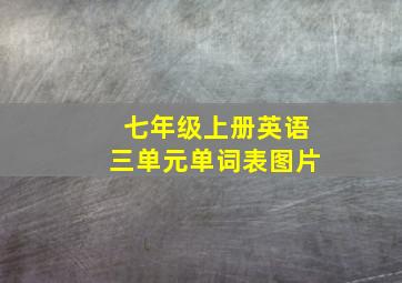 七年级上册英语三单元单词表图片