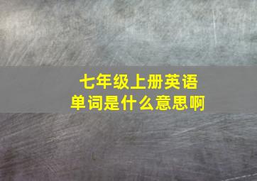 七年级上册英语单词是什么意思啊