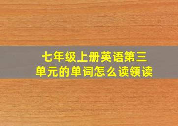 七年级上册英语第三单元的单词怎么读领读