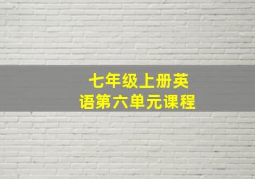 七年级上册英语第六单元课程