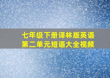 七年级下册译林版英语第二单元短语大全视频