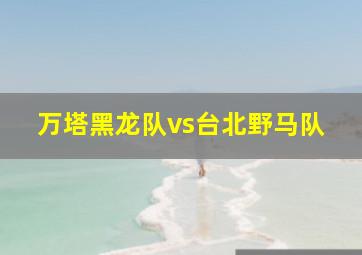 万塔黑龙队vs台北野马队