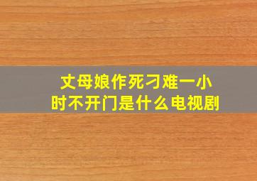 丈母娘作死刁难一小时不开门是什么电视剧