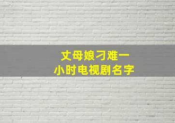 丈母娘刁难一小时电视剧名字