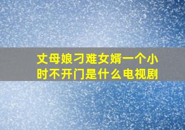 丈母娘刁难女婿一个小时不开门是什么电视剧