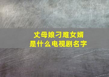 丈母娘刁难女婿是什么电视剧名字