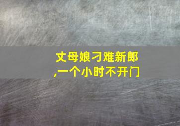 丈母娘刁难新郎,一个小时不开门