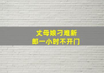 丈母娘刁难新郎一小时不开门