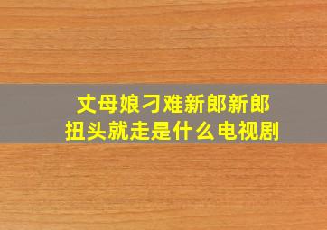 丈母娘刁难新郎新郎扭头就走是什么电视剧