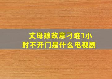 丈母娘故意刁难1小时不开门是什么电视剧