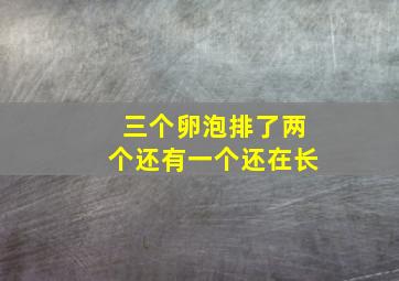 三个卵泡排了两个还有一个还在长