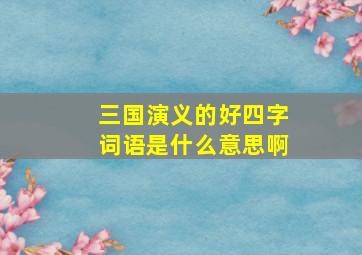 三国演义的好四字词语是什么意思啊