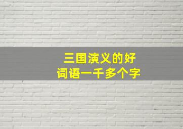 三国演义的好词语一千多个字