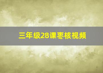 三年级28课枣核视频