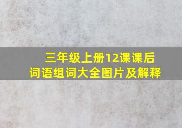 三年级上册12课课后词语组词大全图片及解释