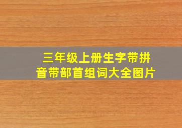 三年级上册生字带拼音带部首组词大全图片