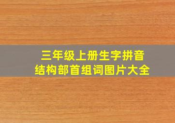 三年级上册生字拼音结构部首组词图片大全