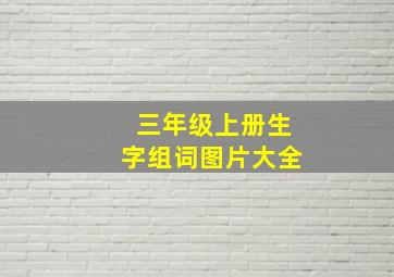 三年级上册生字组词图片大全