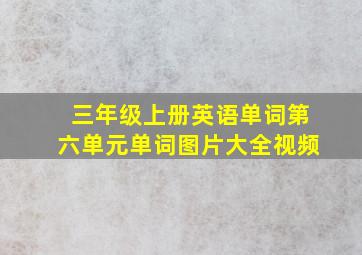 三年级上册英语单词第六单元单词图片大全视频