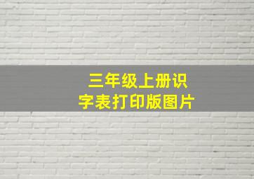 三年级上册识字表打印版图片