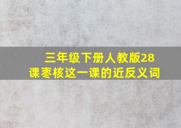 三年级下册人教版28课枣核这一课的近反义词