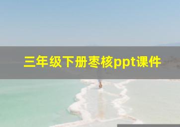 三年级下册枣核ppt课件