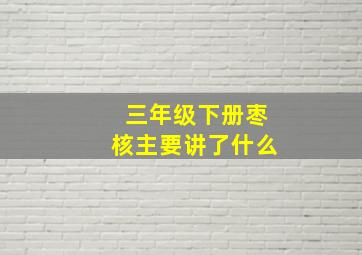 三年级下册枣核主要讲了什么