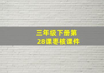 三年级下册第28课枣核课件