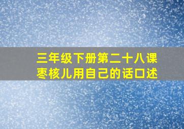 三年级下册第二十八课枣核儿用自己的话口述