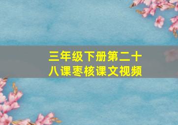 三年级下册第二十八课枣核课文视频