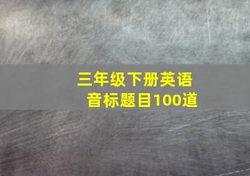 三年级下册英语音标题目100道