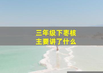 三年级下枣核主要讲了什么