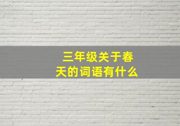 三年级关于春天的词语有什么