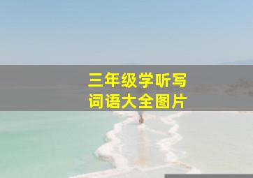 三年级学听写词语大全图片