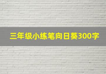 三年级小练笔向日葵300字