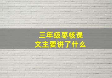 三年级枣核课文主要讲了什么