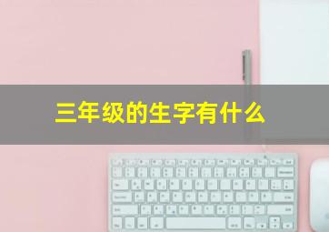 三年级的生字有什么