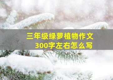 三年级绿萝植物作文300字左右怎么写