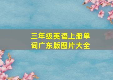 三年级英语上册单词广东版图片大全