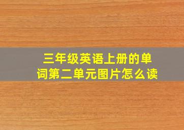 三年级英语上册的单词第二单元图片怎么读