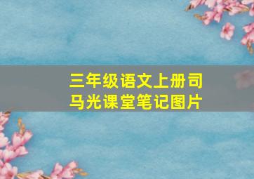 三年级语文上册司马光课堂笔记图片