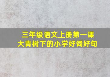 三年级语文上册第一课大青树下的小学好词好句