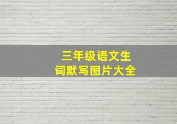 三年级语文生词默写图片大全