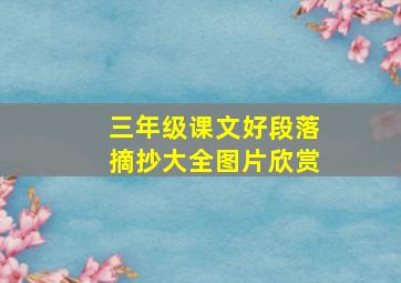 三年级课文好段落摘抄大全图片欣赏