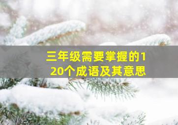 三年级需要掌握的120个成语及其意思