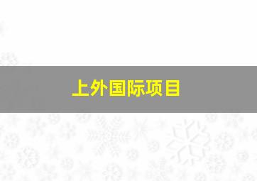 上外国际项目