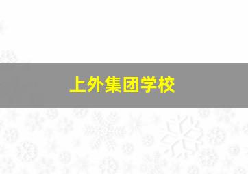 上外集团学校