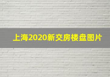 上海2020新交房楼盘图片